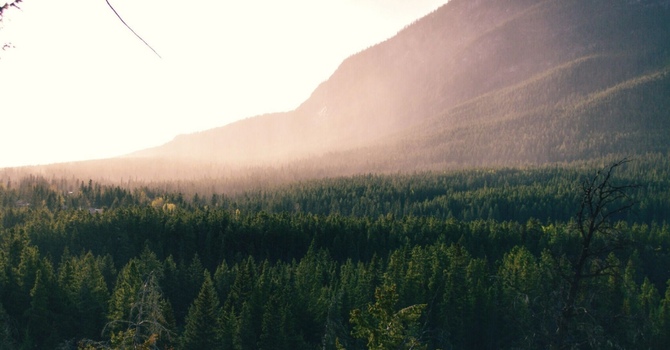 The Importance of Spinal Health for Overall Wellness